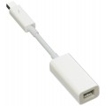 Apple Thunderbolt to FireWire Adapter