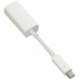 Apple Thunderbolt to FireWire Adapter