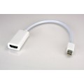 Xtech Mini DisplayPort (Male) to HDMI (Female) Adapter