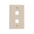 2 PORT FACEPLATE - IVORY